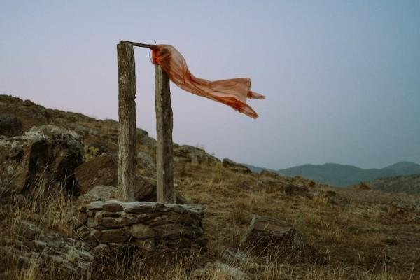 太平康頤金生b款終身壽險分紅型怎么樣？保障什么？