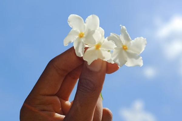 養(yǎng)老保險是一年交一次嗎？一年交多少錢？