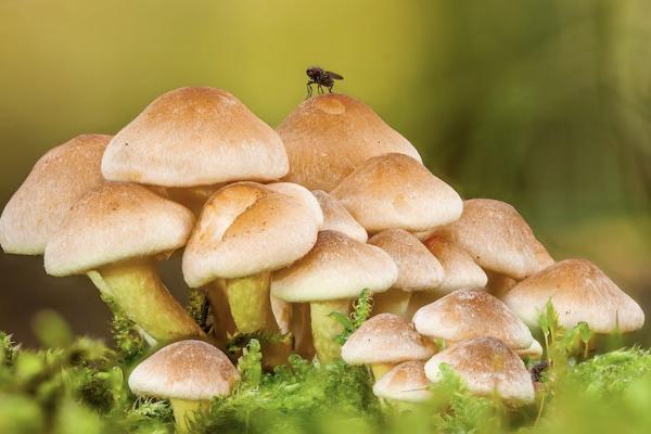 養(yǎng)老保險退保后還能重新投保嗎？重新投保流程是什么？