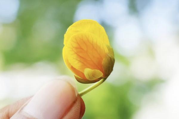 保險(xiǎn)公司怎么知道投保人是否健康？理賠條件是什么？