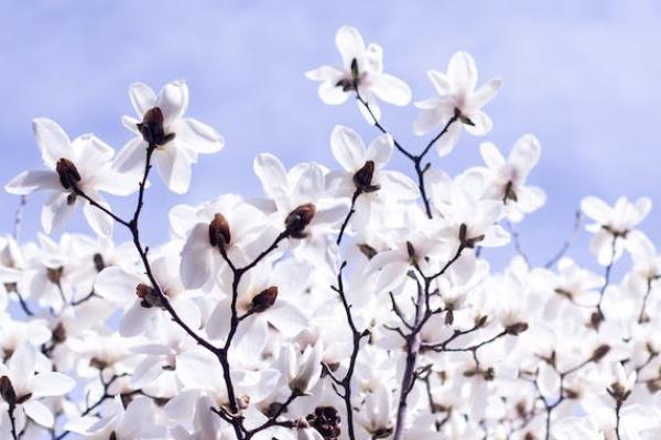 農(nóng)村醫(yī)療保險和職工醫(yī)療保險沖突嗎？有什么區(qū)別？