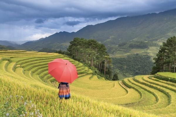 無錫補充醫(yī)療保險報銷范圍是多少？怎么用？
