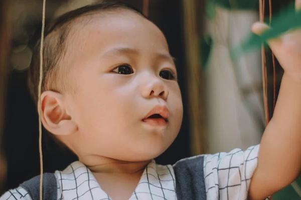 中郵退保自己的本金給嗎？去哪里退保？