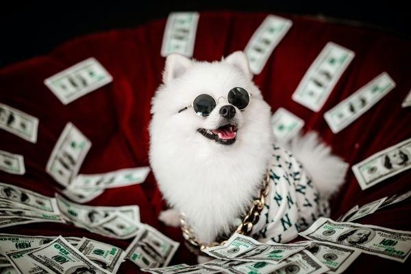微粒貸欠款3萬會立案嗎，立案了會怎么樣