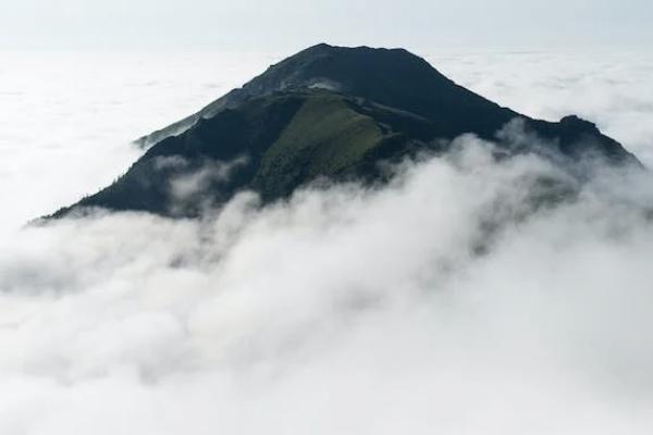 什么是期交保險(xiǎn)？期交保險(xiǎn)的優(yōu)點(diǎn)是什么？