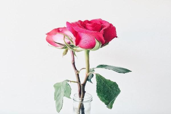 友邦保險(xiǎn)買(mǎi)了幾年能退多少？退保進(jìn)度怎么查詢？