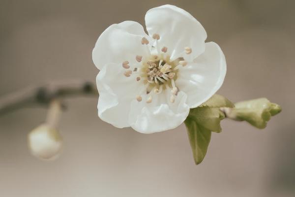 單位交商業(yè)保險是什么意思？有什么好處？