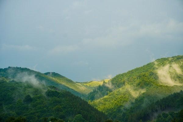 英才少兒保險(xiǎn)退保會(huì)給多少，退保材料是什么