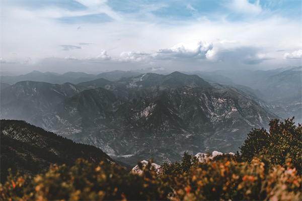 商業(yè)險未生效退保再買可以嗎，怎么退
