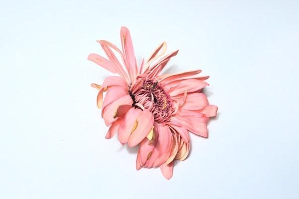 重疾險(xiǎn)你可能白買了是怎么回事？一般需要多少錢？