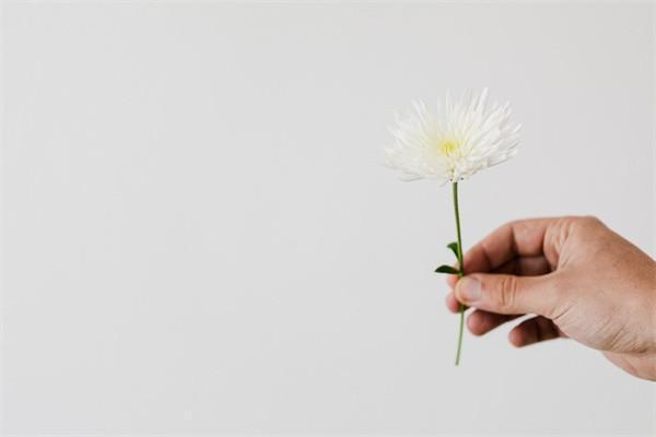 眾安保險(xiǎn)投保了怎么取消，有什么好處