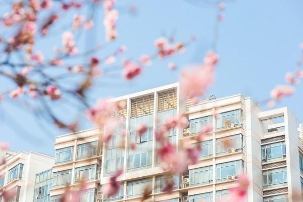深圳學生5元意外險保障范圍是什么？深圳學生5元意外險怎么買？