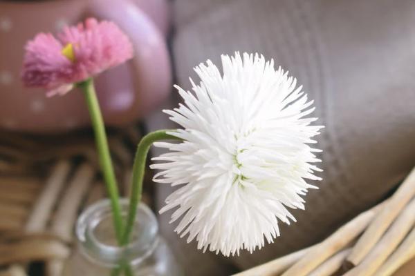 大額醫(yī)療補充保險什么意思？大額醫(yī)療補充保險的報銷范圍是什么？