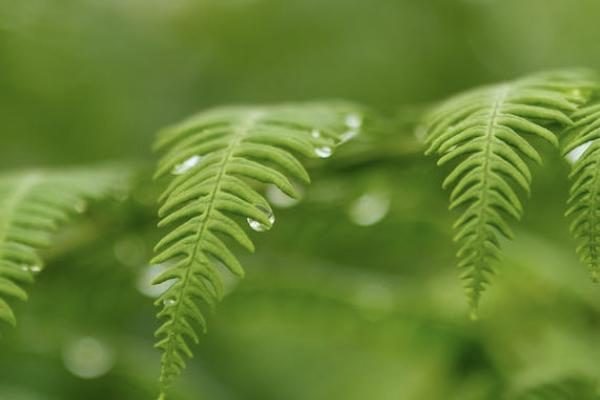 意外險(xiǎn)喝酒了給理賠嗎？意外險(xiǎn)喝酒了怎么賠？