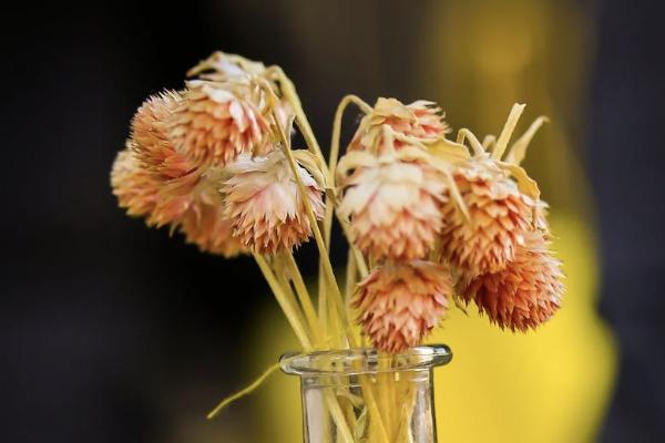 醫(yī)療保險一年多少錢？購買職工醫(yī)保有必要嗎？