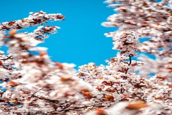 意外猝死意外險(xiǎn)賠不賠？有必要購(gòu)買(mǎi)嗎？
