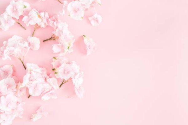 英國保誠保險怎么樣？信用評級怎么樣？