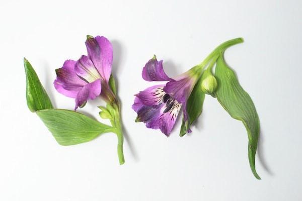 醫(yī)?？梢跃W(wǎng)上退保嗎？退保的條件有哪些？