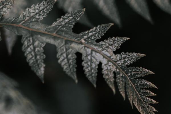工傷保險(xiǎn)的保額是多少