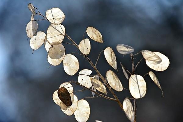 安逸花利息可以減免嗎，逾期還款方式有哪些