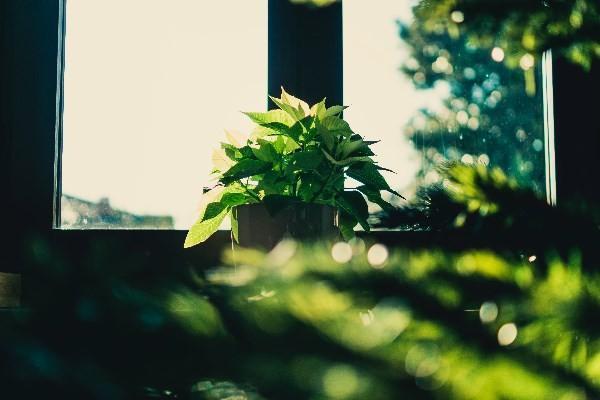 太平保險交了兩年能退多少，退保流程是什么