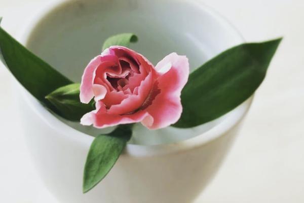平安金管家里怎么退款？退保能退多少？