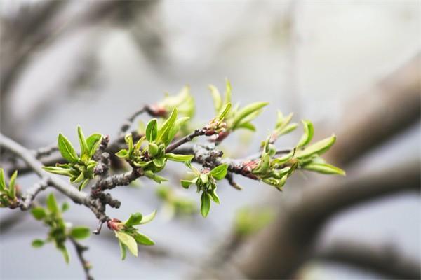 保險(xiǎn)過期兩年還能退保嗎，怎么退