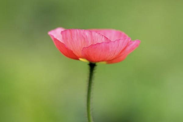 英大人壽保險靠譜嗎？一年多少錢？
