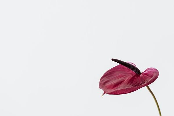泰康暢贏人生保險(xiǎn)退保能退多少，流程是怎樣的