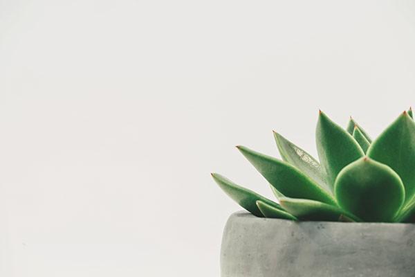 亞太保險(xiǎn)可以退嗎，退保流程是怎樣的