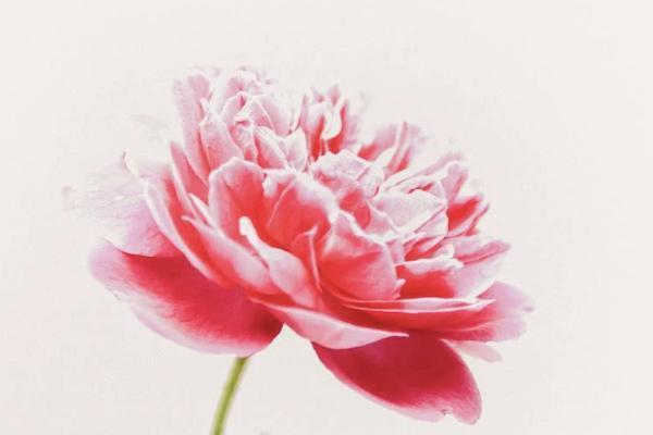 腦溢血算意外保險(xiǎn)嗎？意外保險(xiǎn)報(bào)銷范圍有哪些？