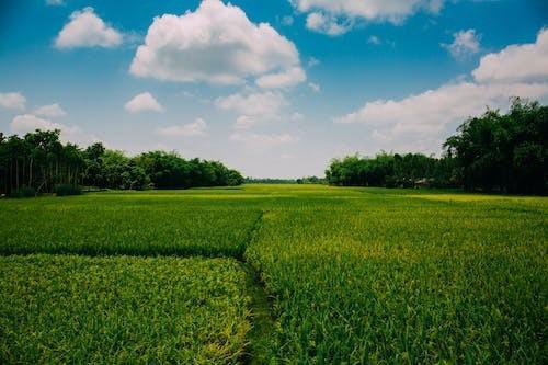 團(tuán)體意外險(xiǎn)骨折能賠多少，怎么理賠