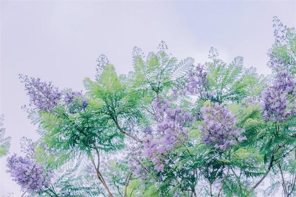 買重疾保險(xiǎn)前需要體檢嗎，體檢哪些內(nèi)容