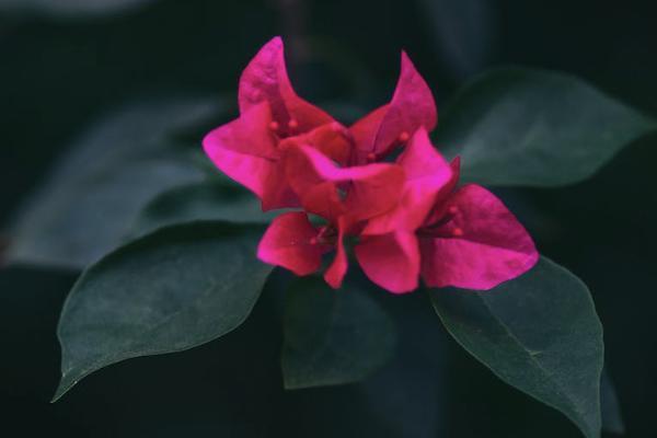 境外回香港在哪里買保險？香港買保險有什么好處呢？