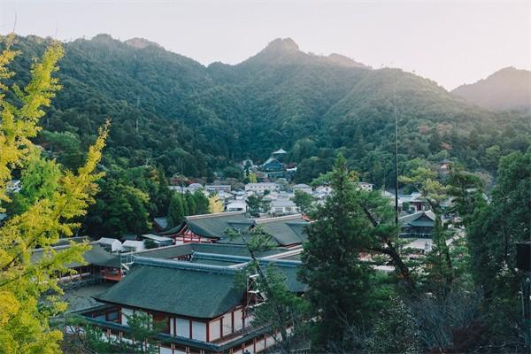 保單合同找不到了可以退保嗎，怎么退