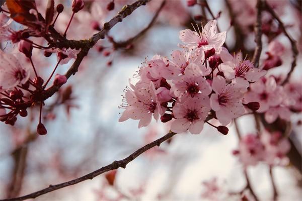 e生平安百萬醫(yī)療怎么退保，退保需要哪些材料