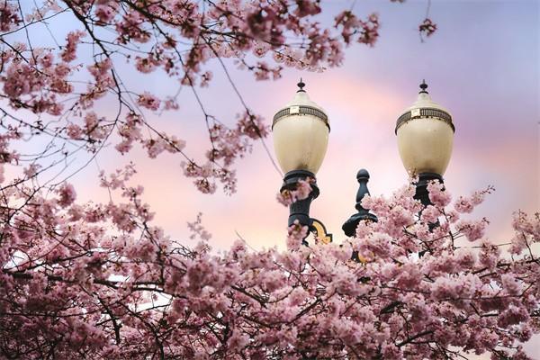2017金佑人生a款分紅型怎么退保，要準備什么材料呢