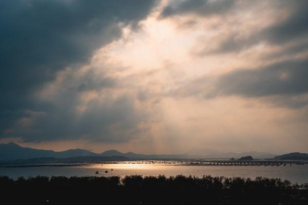 因不滿意保險(xiǎn)公司可以退保嗎，怎么退