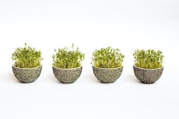 重疾險(xiǎn)一定要和壽險(xiǎn)一起買嗎，有什么保障呢