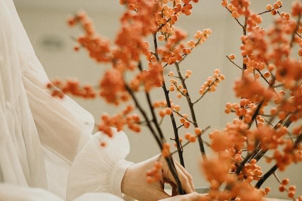 女的沒有社保男方有可以報生育險嗎？怎么報生育險？
