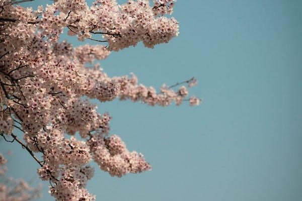 有低保人的子女可以買保險(xiǎn)嗎？可以買什么保險(xiǎn)？