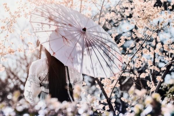 女方?jīng)]有生育險男方有怎么報生育險？可以報銷多少？
