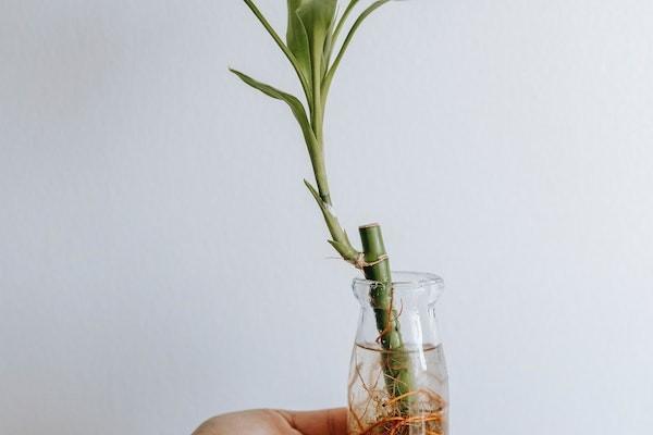 平安保險(xiǎn)平安福重疾險(xiǎn)怎么樣？確診多久能理？賠