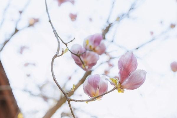 重疾險(xiǎn)買一年還是終身？重疾險(xiǎn)保一年和保終身的區(qū)別是什么？