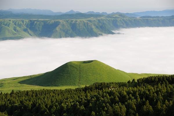重疾險(xiǎn)超過(guò)60天寬限期后有什么影響？寬限期后得重疾理賠嗎？