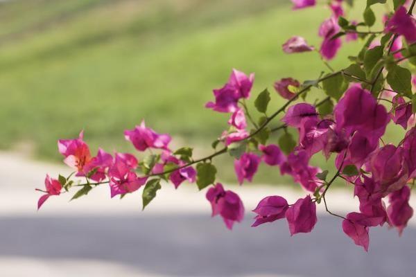 保單解約是什么意思？能退多少錢？