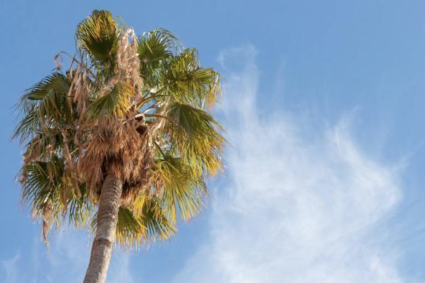 太平洋保險(xiǎn)二十年到期能取嗎？一年要交多少錢？