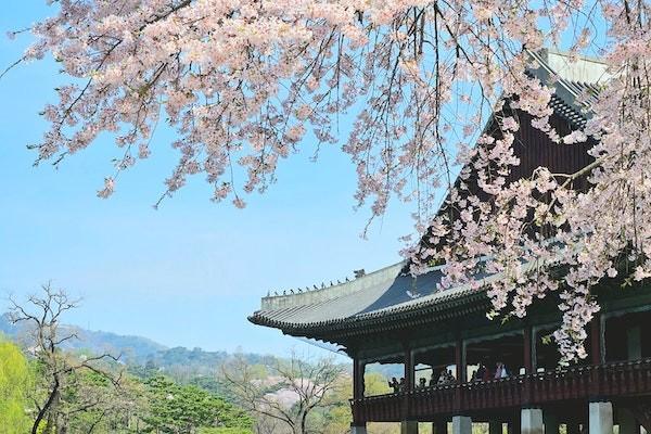 嬰兒城鄉(xiāng)居民醫(yī)療保險一年交多少錢？報銷多少？
