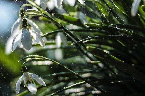 退休金怎么算的，退休金怎么領(lǐng)取