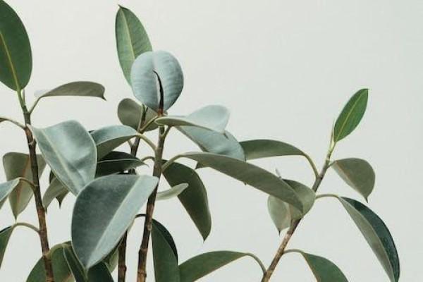 有必要給嬰兒買重疾保險嗎，附注意事項！